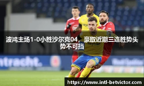 波鸿主场1-0小胜沙尔克04，豪取近期三连胜势头势不可挡